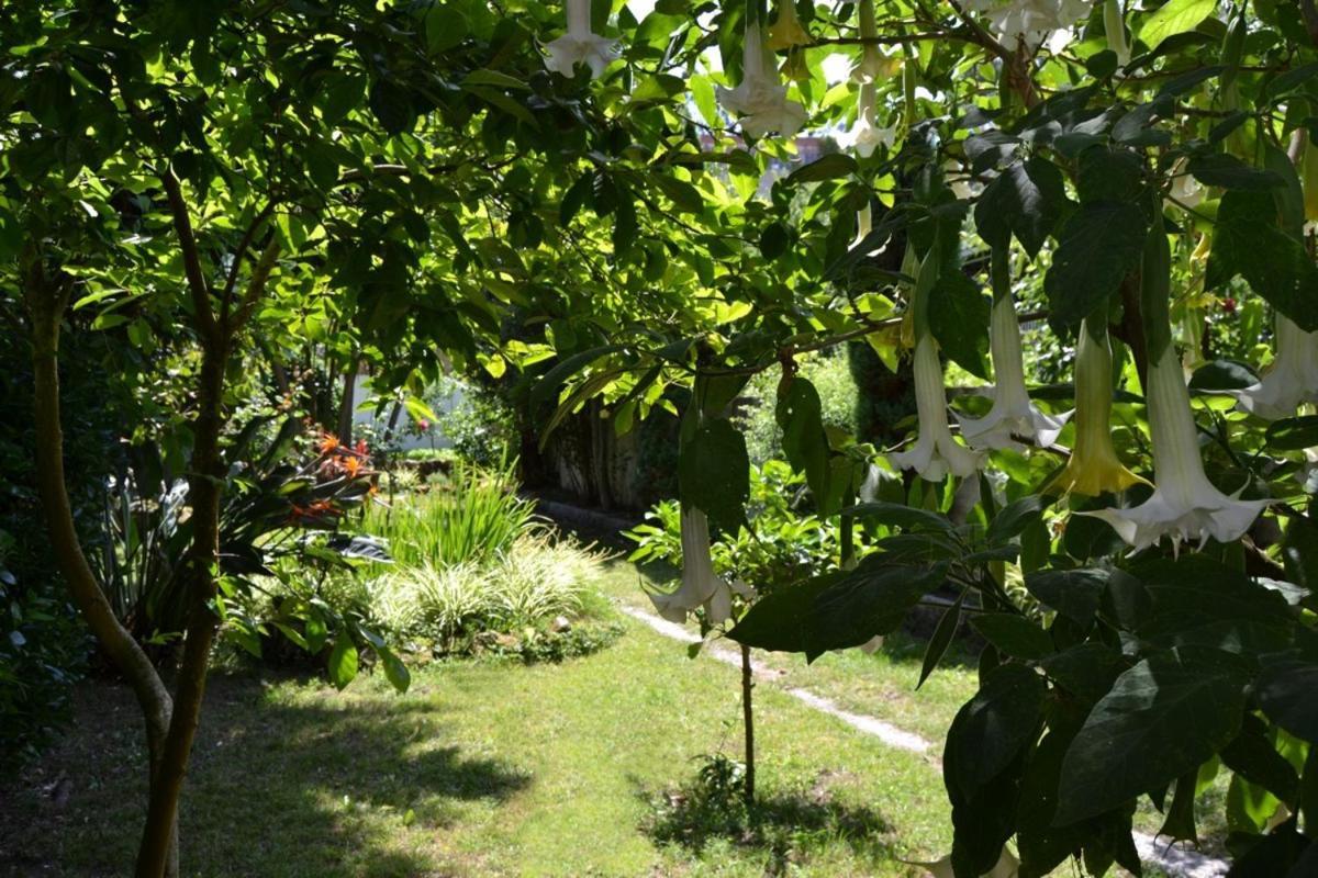 Hotel Amandi O Grove Dış mekan fotoğraf